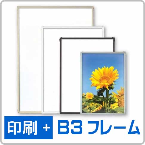 エコイレパネB3-01