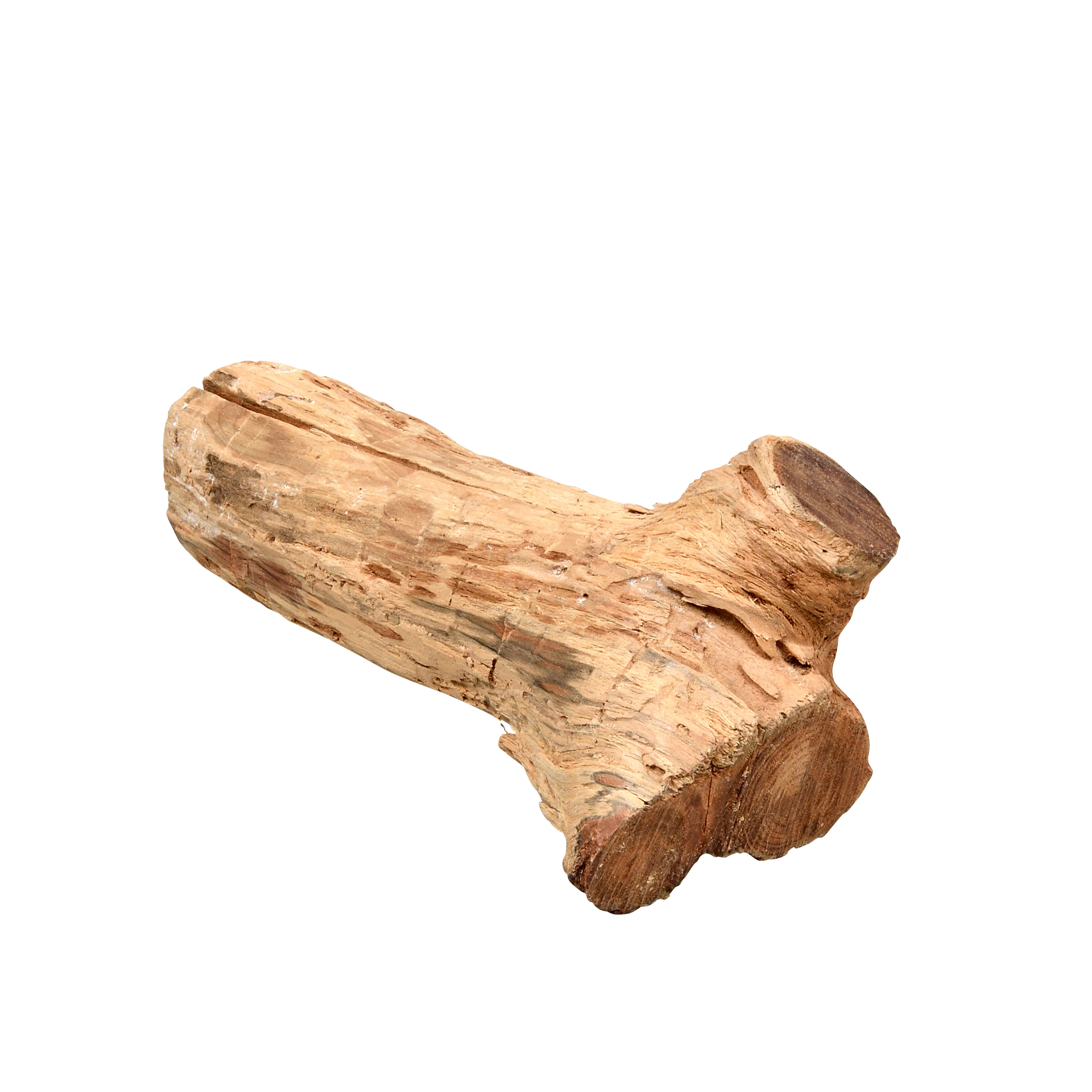 ファットウッド原木7.0kg(赤松)超特大