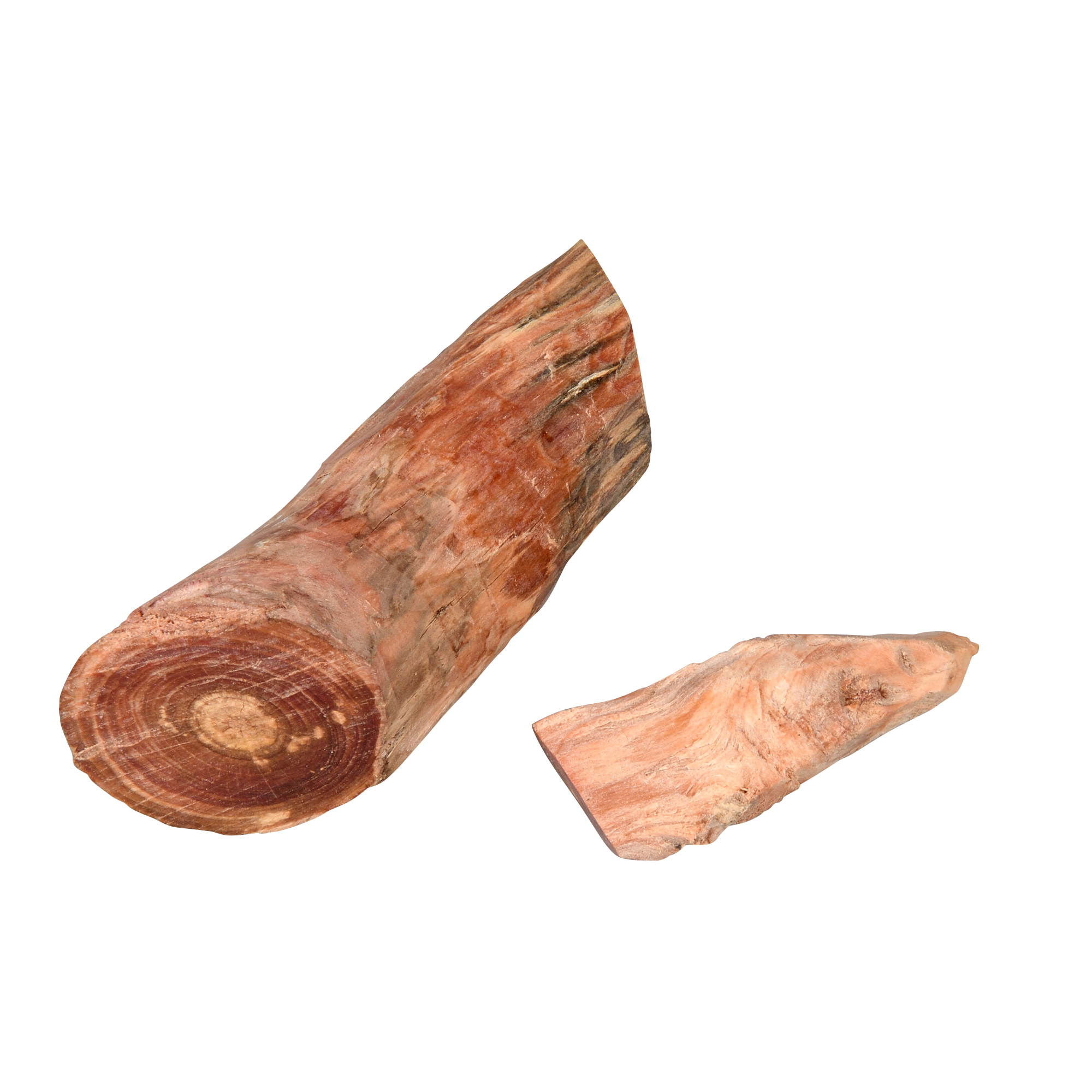 【現品限り】初めてのファットウッドD（送料無料）雨の日でも着火OK