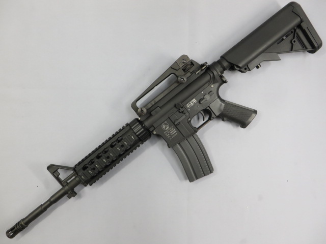 M4A1 TEG / フリーフロートレイルシステム