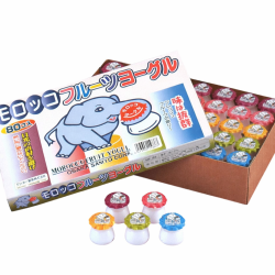 【再入荷】モロッコヨーグル（80入）