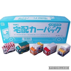 宅配カーパック（５０個入り）＃30