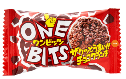 ワンビッツ　24入り　（24コ入）＃20　（秋冬限定商品）