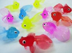 すくい用金魚（100個入り）