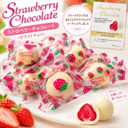 フリーズドライ　ストロベリーチョコ　（400ｇ）業務用
