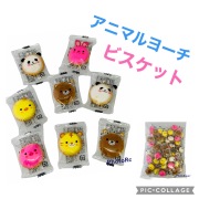 アニマルヨーチ　ビスケット（１パック100コ入）＃15　リアライズ