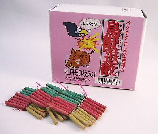 爆竹　花火