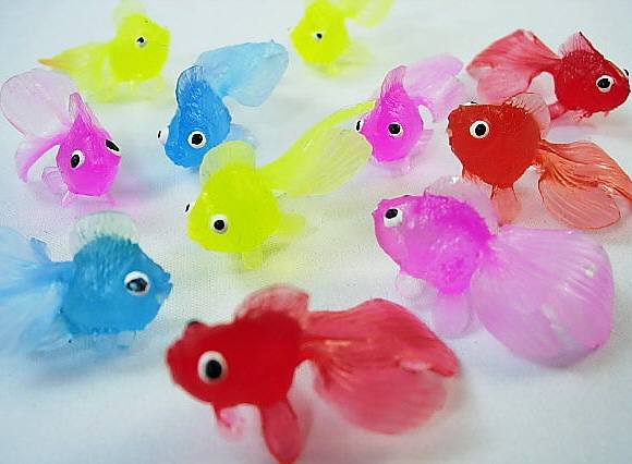 すくい用金魚（100個入り）