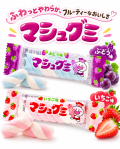 【新商品】マシュグミ　（24個入）＃15