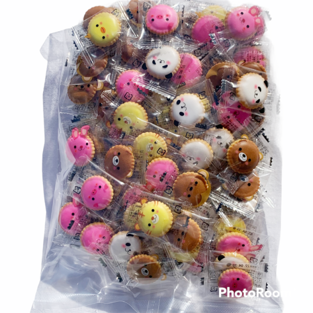 アニマルヨーチ　美味しいクッキー　贈答に