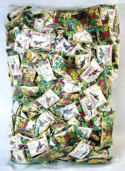 確認用（キャンディキャンディ） 業務用 恐竜図鑑キャンディ 1kg