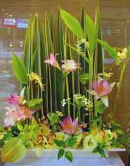 【104】　アレンジメント