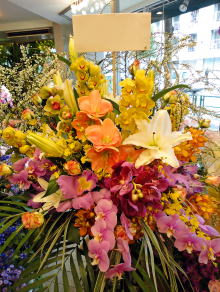 【87】　アレンジメント