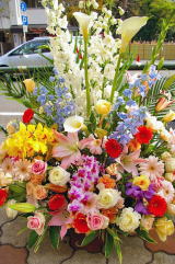 【88】　アレンジメント