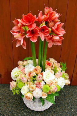 【89】　アレンジメント