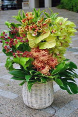 【92】　アレンジメント