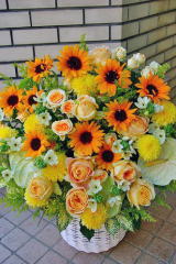 【93】　アレンジメント