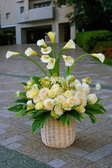 【95】　アレンジメント