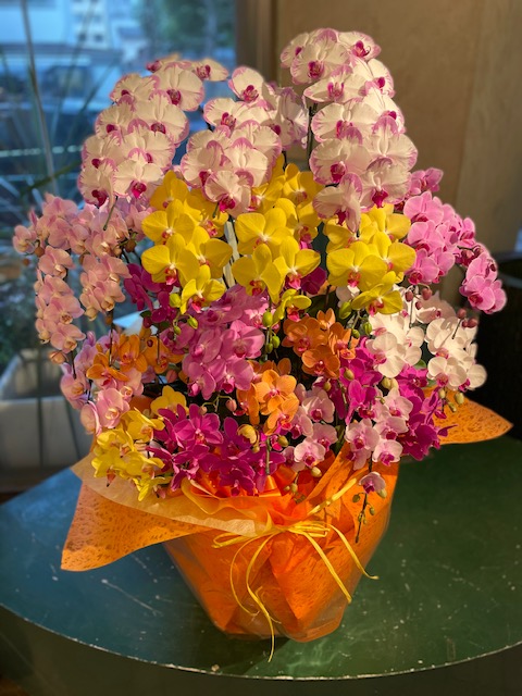 【1001】　ミニ寄せ植え