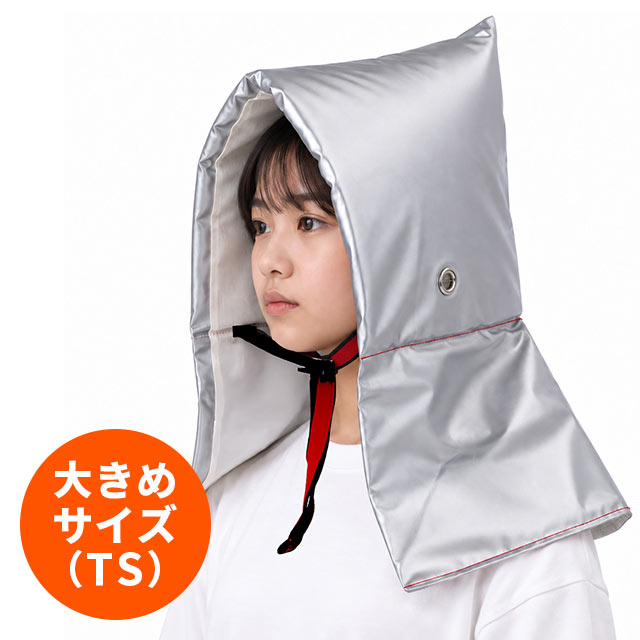 セーフティークッションTS