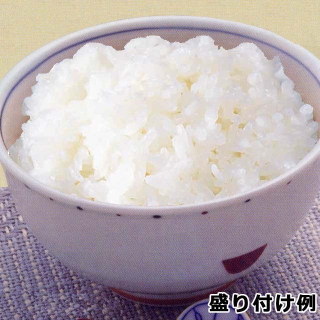 レスキューフーズ　白いごはん