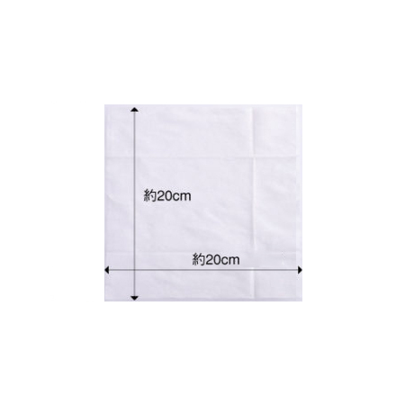 SKK みんなのからだふき 10枚（コンパクトサイズ）100パック入】5年