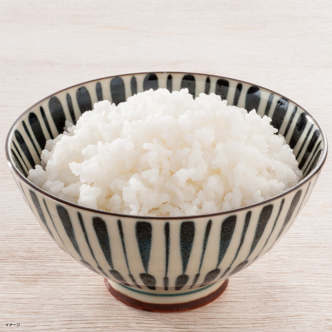 安心米クイック　白飯　盛り付け