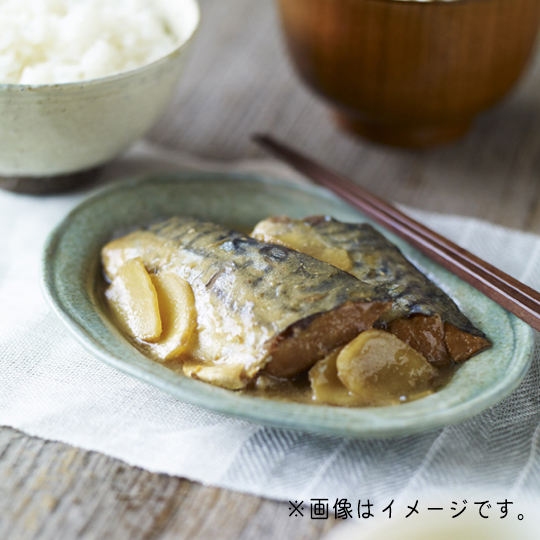 IZAMESHI　梅と生姜のサバ味噌煮2