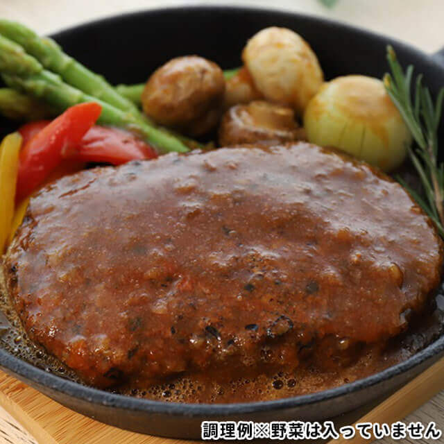 自衛隊戦闘糧食モデル防災食　煮込みハンバーグ