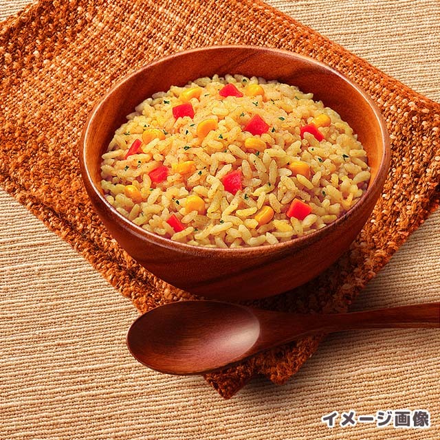 永谷園　長期保存食フリーズドライご飯　カレー