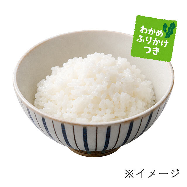 ぽけこめっつ　しろごはんサブ
