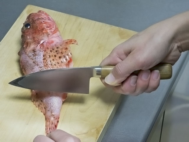 ガ*ン様 新品未使用　包丁工房タダフサ　小出刃 出刃150mm - 庖丁工房タダフサ [公式通販] Online Shop