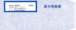 333110賞与明細書専用窓付封筒