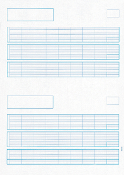 PA1111F　給与明細書A(罫線付き)