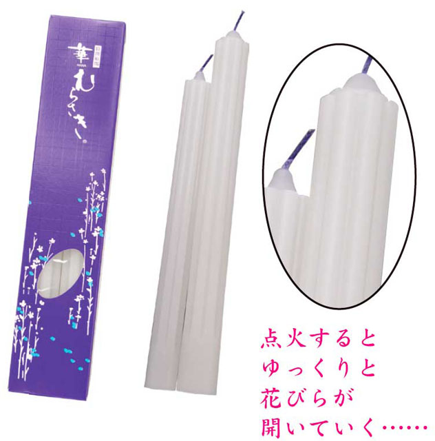 華むらさきローソク