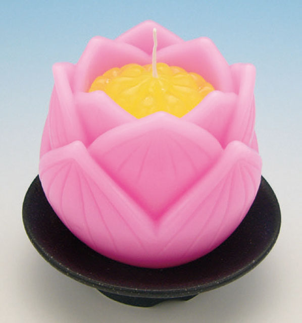 明りつぼロータス（器付）