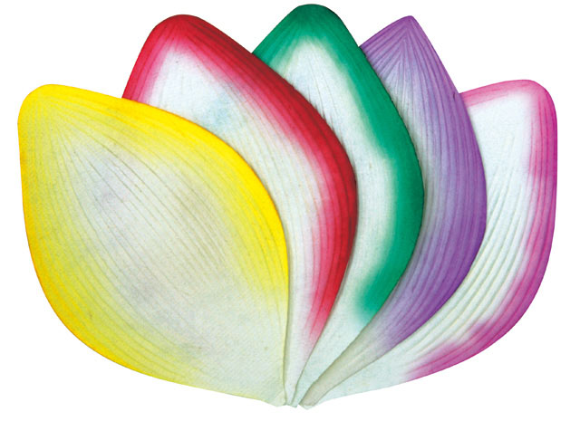 高級散華　五色のハスの花弁　200枚1箱