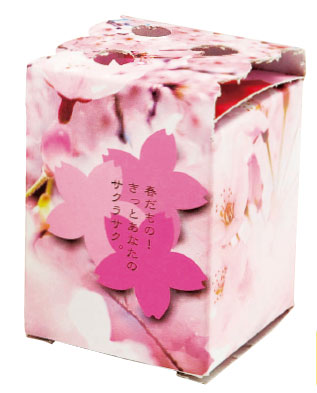 さくらさく 「金平糖」１０箱単位