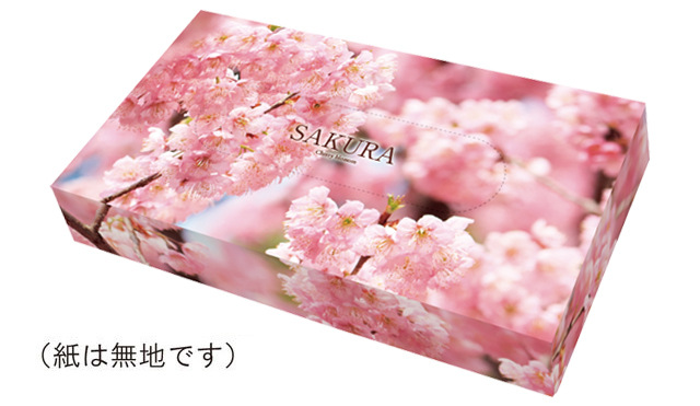 桜ボックスティッシュ・長方形タイプ （４０Ｗ　1０0箱セット）