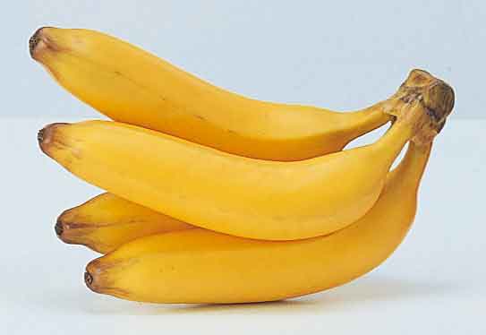 本物そっくり！果物単品（合成樹脂製）・バナナ