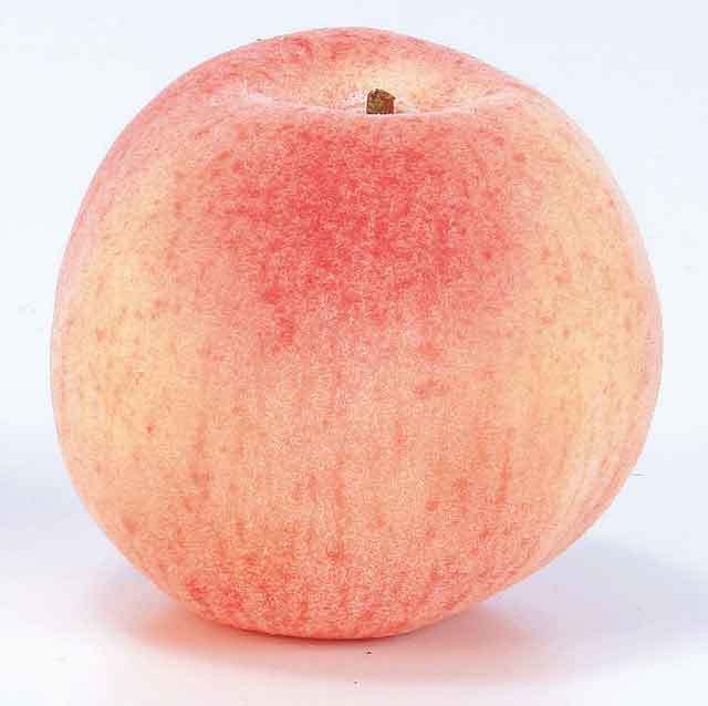 本物そっくり！果物単品（合成樹脂製）・もも