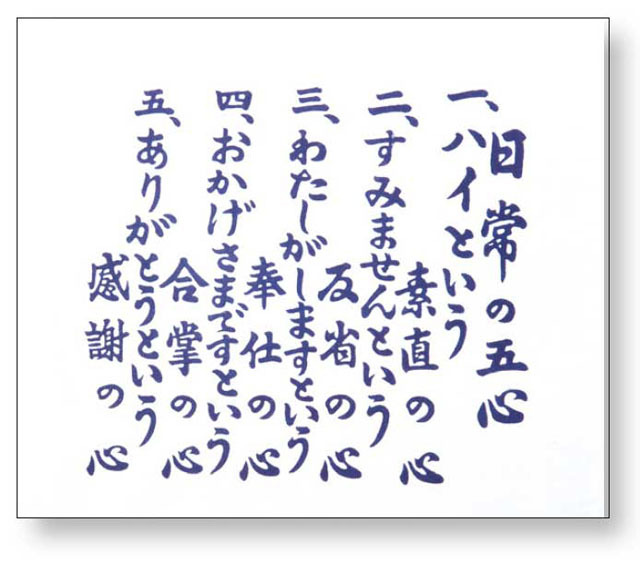 日常の五心おふきん（１０本セット）
