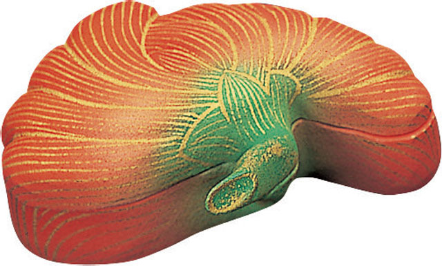 木製彩色香合　菊華（赤）