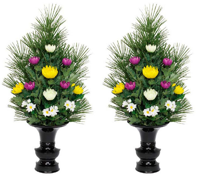 高野槇（Ｃ）（水上６０ｃｍタイプ）一対