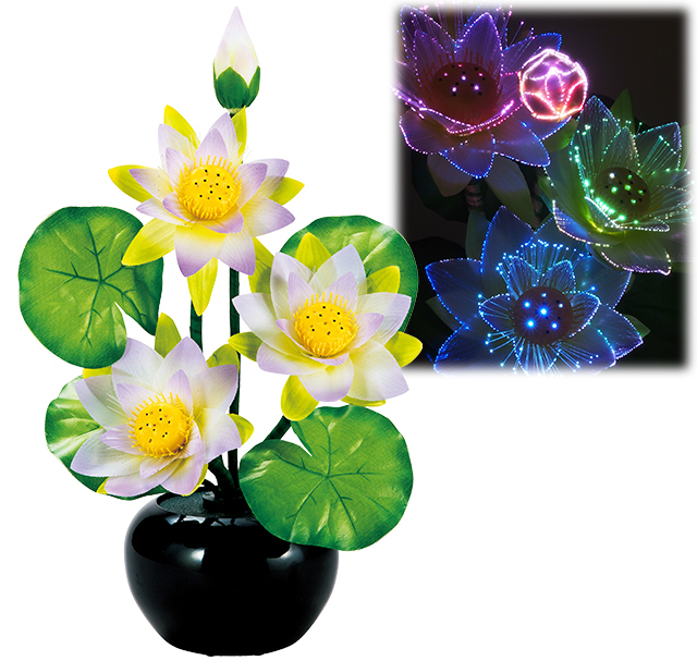 新グランドルミナス　蓮の華