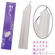 華むらさきローソク