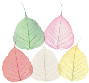 高級散華　五色の菩提樹　200枚1箱