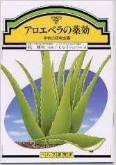 アロエの効果