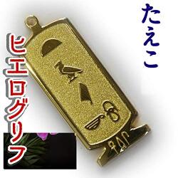 ヒエログリフ ペンダント 名前ネームネックレス 象形文字 ピラミッド 古代エジプト文字 ゴールド