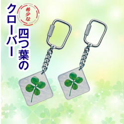 卵黄油のダイワヘルス研究所推薦！幸せの四つ葉のクローバー・キーホルダー